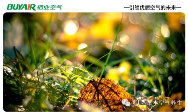步入秋天，空氣凈化器不可或缺