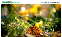 步入秋天，空氣凈化器不可或缺